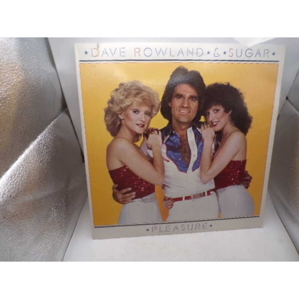 Dave Rowland and Sugar Pleasure Vinyl LP Record 1981 Elektra‎ 5E-525 Country Pop